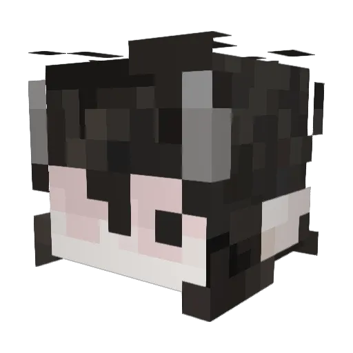 AshleyCoww Minecraft avatar head, 3D render