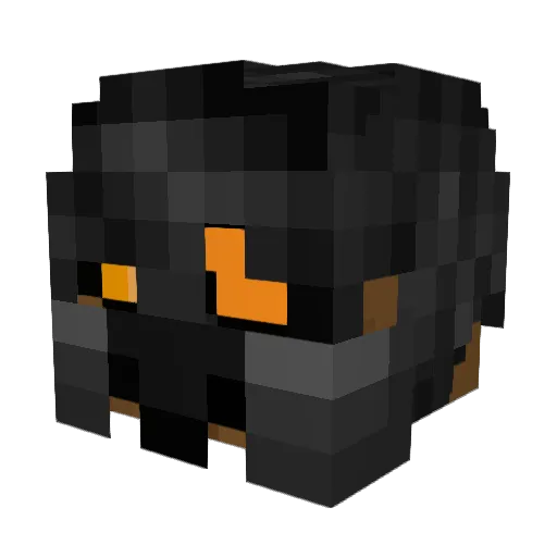 AshleyKetchum Minecraft avatar head, 3D render