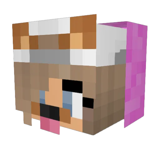 AshleyL6790 Minecraft avatar head, 3D render