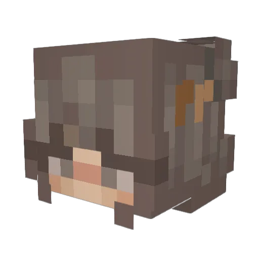 AshleyPlayz_MC Minecraft avatar head, 3D render