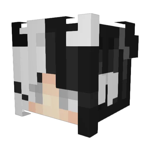 AshleyUnicorn1 Minecraft avatar head, 3D render