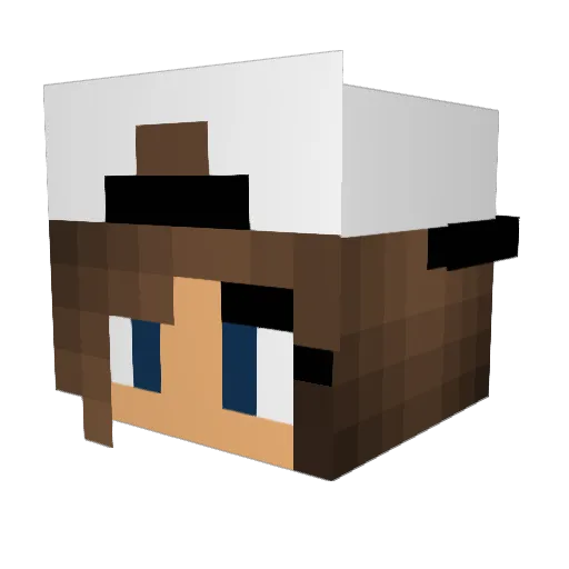 Ashley_4life Minecraft avatar head, 3D render