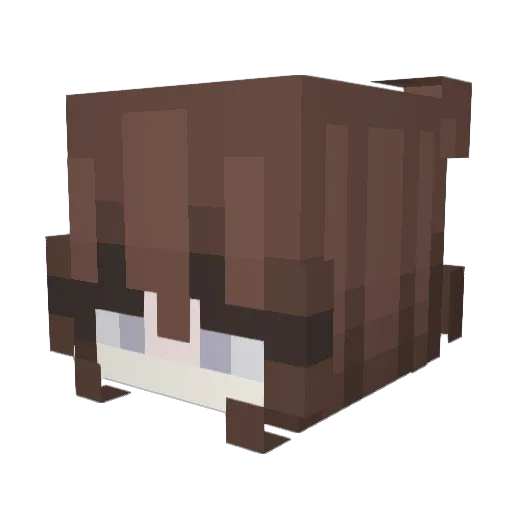 Ashley_H06 Minecraft avatar head, 3D render