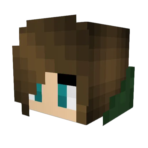 Ashleyrain Minecraft avatar head, 3D render