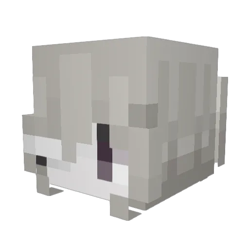 Ashleyyy09 Minecraft avatar head, 3D render