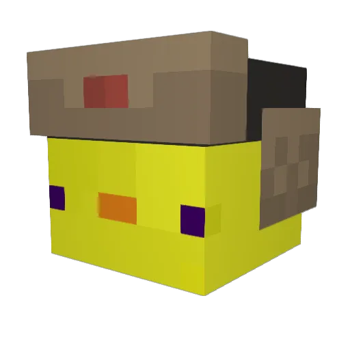 Ashlir Minecraft avatar head, 3D render