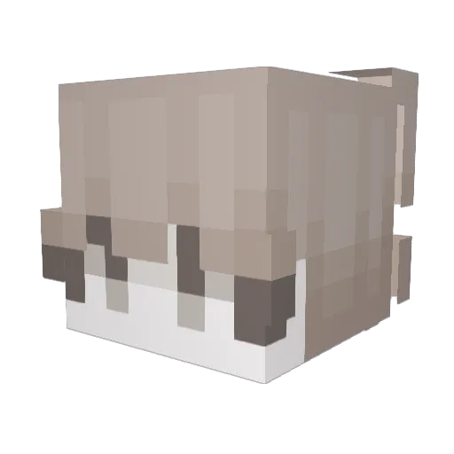 Ashlog Minecraft avatar head, 3D render