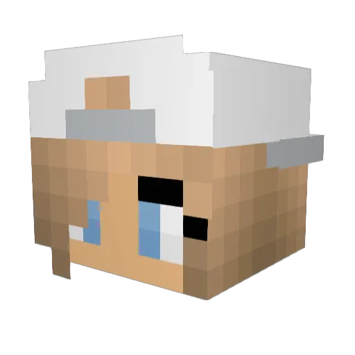 Ashlyn16 Minecraft avatar head, 3D render