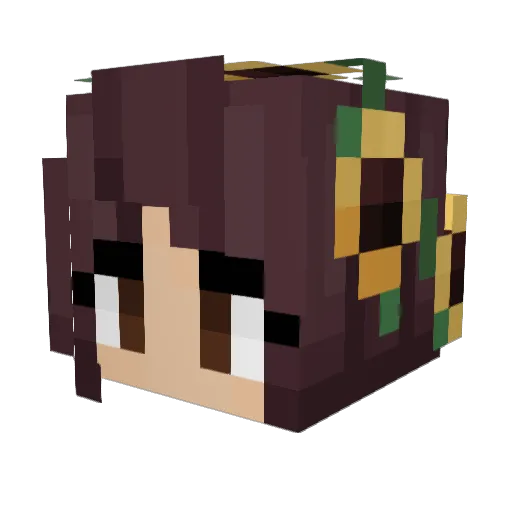 Ashlyn972 Minecraft avatar head, 3D render