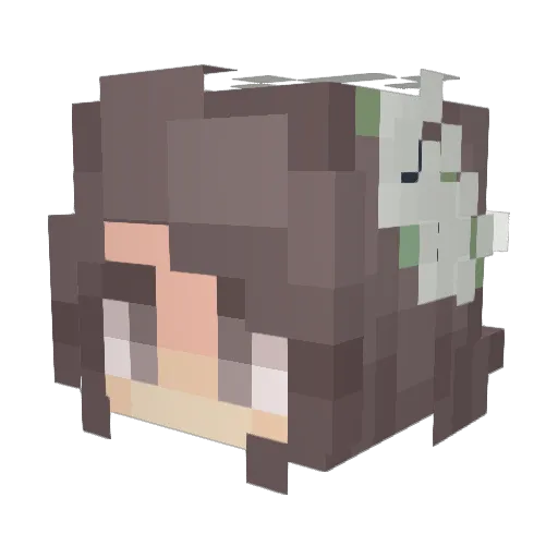 Ashlynn1101 Minecraft avatar head, 3D render