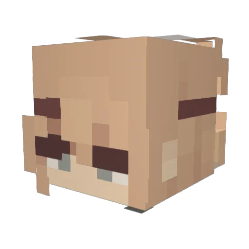Ashlynn712 Minecraft avatar head, 3D render