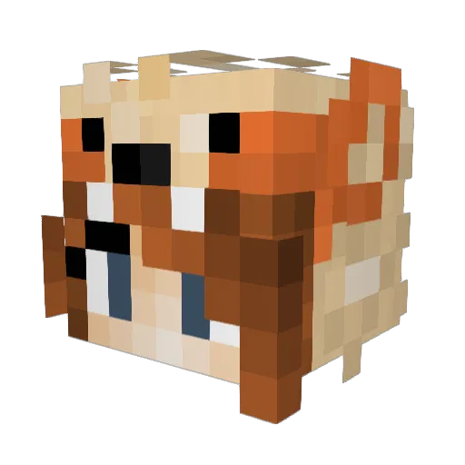 Ashn0ne Minecraft avatar head, 3D render