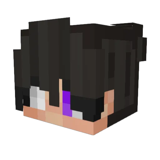 Ashn1x Minecraft avatar head, 3D render