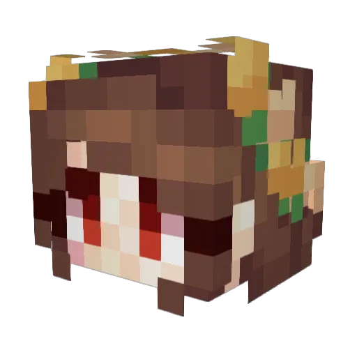Ashooalt Minecraft avatar head, 3D render