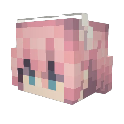 Ashowshow Minecraft avatar head, 3D render