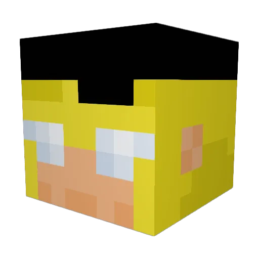 Ashrei44 Minecraft avatar head, 3D render