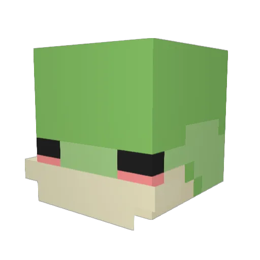 Ashshsh Minecraft avatar head, 3D render