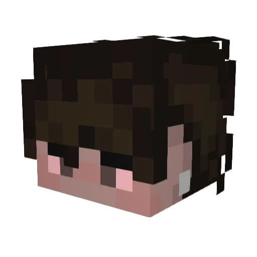 AshtonFourTwenty Minecraft avatar head, 3D render
