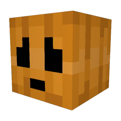 AshtonRainLover Minecraft avatar head, 3D render