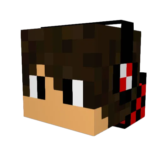 Ashtong2004 Minecraft avatar head, 3D render