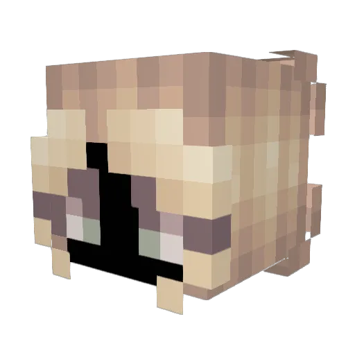 Ashttyyn Minecraft avatar head, 3D render