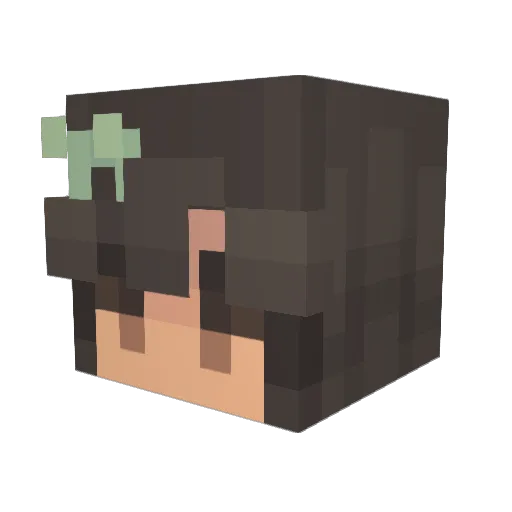Ashtwig Minecraft avatar head, 3D render