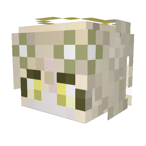 Ashuii Minecraft avatar head, 3D render