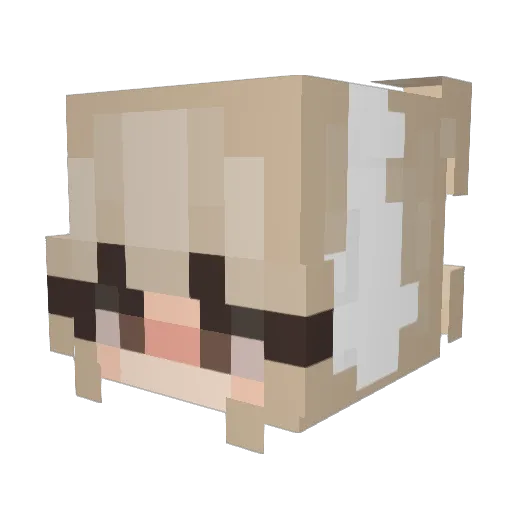 Ashuurai Minecraft avatar head, 3D render
