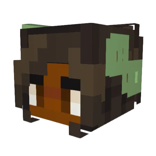 Ashvillle Minecraft avatar head, 3D render