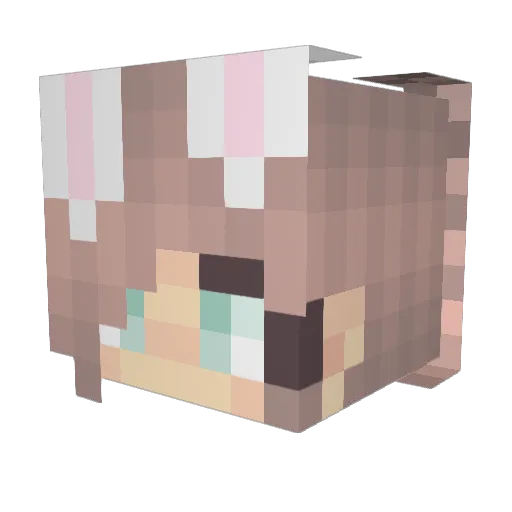AshxLadyy Minecraft avatar head, 3D render