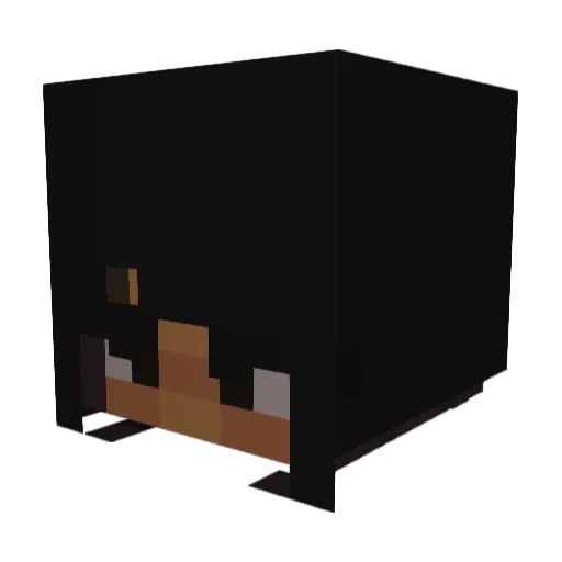 Ashxs_ Minecraft avatar head, 3D render