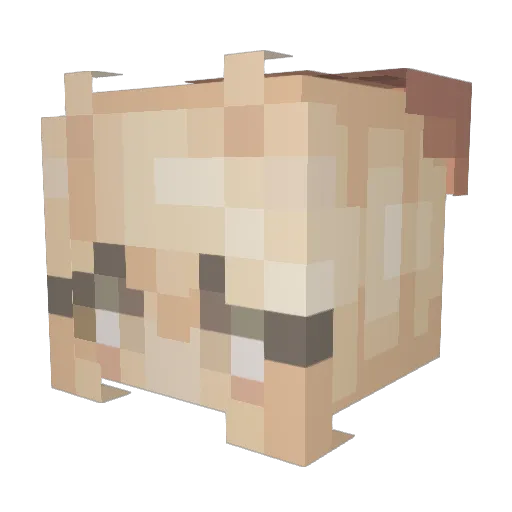 AshyMashy06 Minecraft avatar head, 3D render
