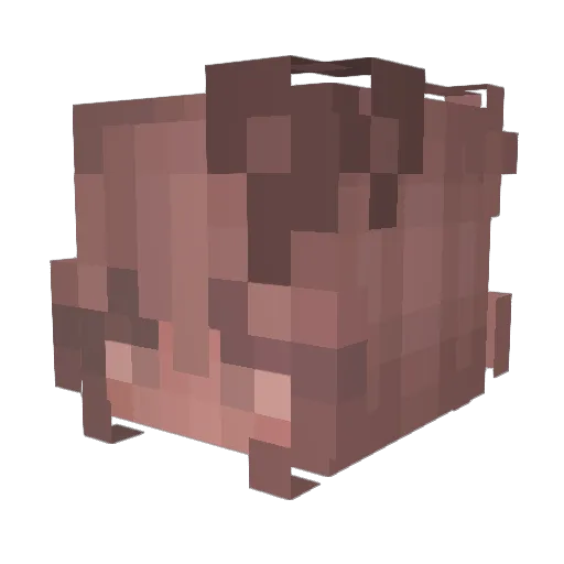 Ashyfrog Minecraft avatar head, 3D render