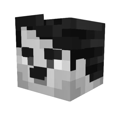 Ashzton_ Minecraft avatar head, 3D render