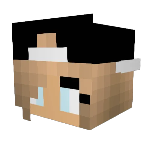 Asian57 Minecraft avatar head, 3D render