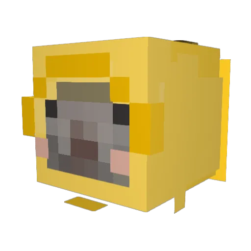 AsianAdonis Minecraft avatar head, 3D render