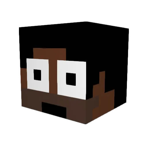 AsianDoc Minecraft avatar head, 3D render