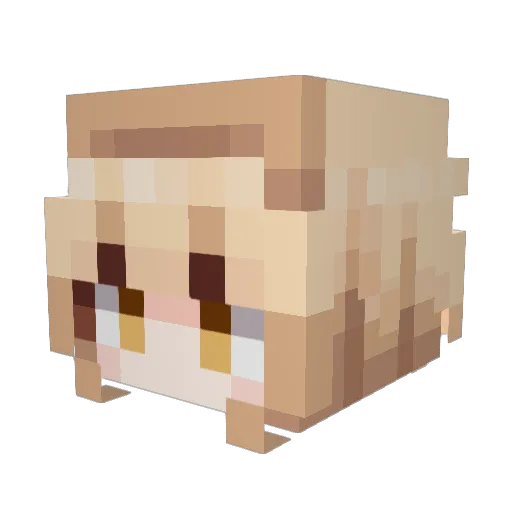 AsianGabe666 Minecraft avatar head, 3D render