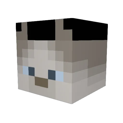 AsianGangster22 Minecraft avatar head, 3D render