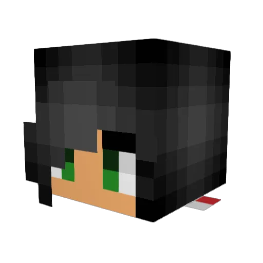 AsianIsLife Minecraft avatar head, 3D render