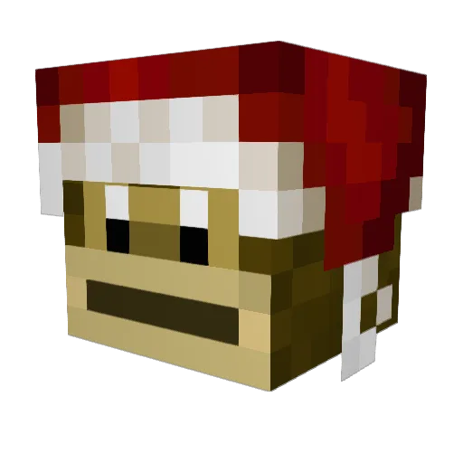 AsianJamesB Minecraft avatar head, 3D render