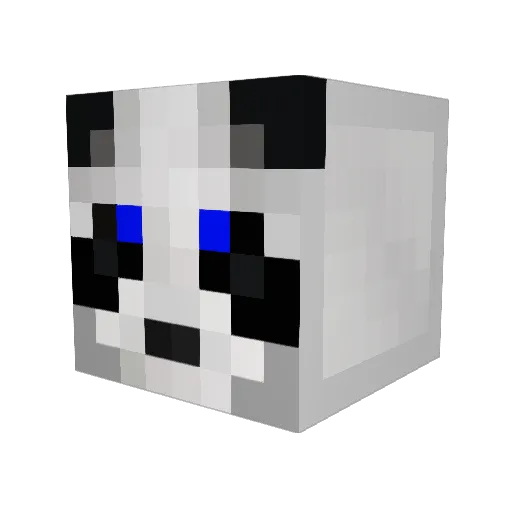 AsianPanda_ Minecraft avatar head, 3D render