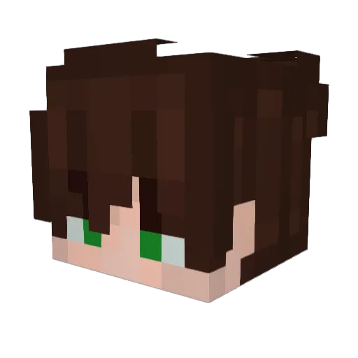 AsianPanther69 Minecraft avatar head, 3D render