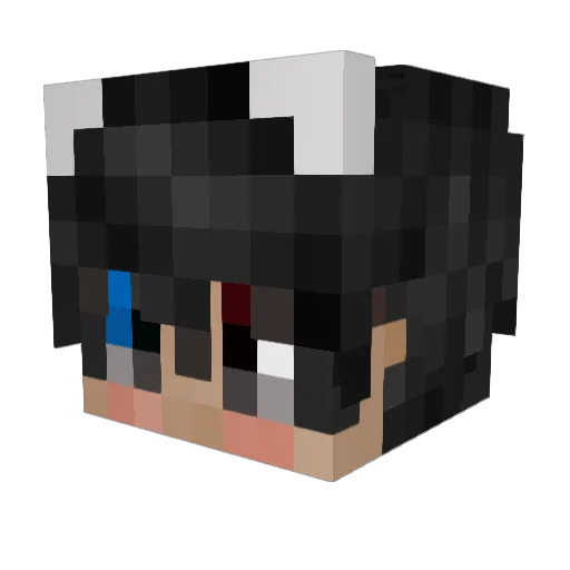Asieracd Minecraft avatar head, 3D render