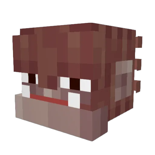 Asildeath Minecraft avatar head, 3D render