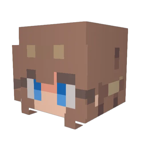 Asillygerbil Minecraft avatar head, 3D render