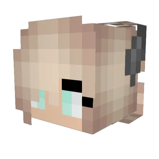 AsimiMoon Minecraft avatar head, 3D render