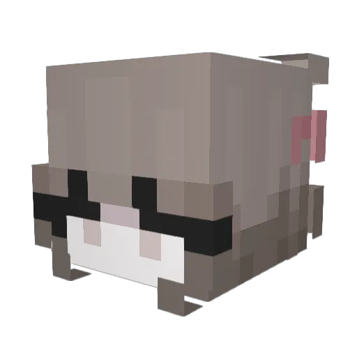 Asira Minecraft avatar head, 3D render