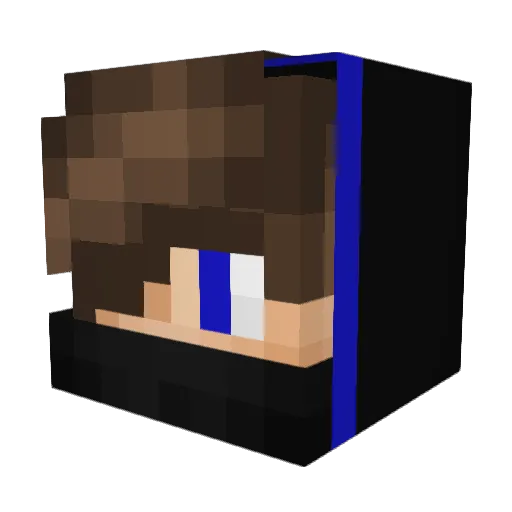 AskANinja Minecraft avatar head, 3D render
