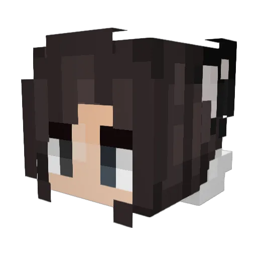 AskMePls Minecraft avatar head, 3D render